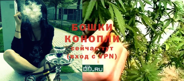 прущие грибы Вуктыл