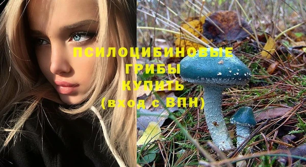 кокс Няндома