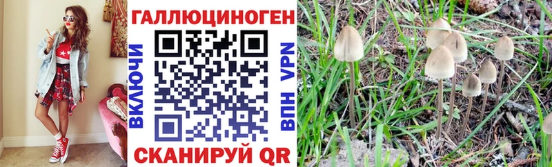сайты даркнета Telegram  купить наркотики цена  Старая Купавна  Галлюциногенные грибы Cubensis 