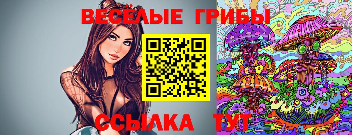 Старая Купавна  Псилоцибиновые грибы мицелий  Вход с VPN 